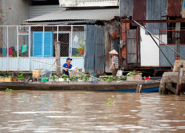 Floating trader on the Mekong, South Vietnam Vegetable boat, Mekong River, South Vietnam. Water craft traffic such as barges, houseboats, passenger craft, industrial freighters and small personal boats travel the green rippled waters of the channels and routes of the mighty Mekong River as it flows to the Mekong Delta, South Vietnam small houseboats stock pictures, royalty-free photos & images