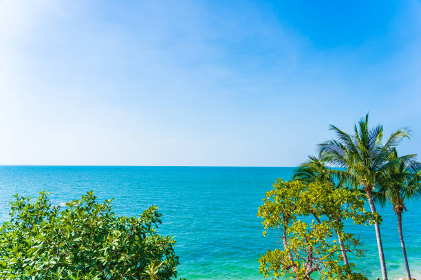 istock Beautiful coconut palm tree and leaf with sea ocean 1193500276