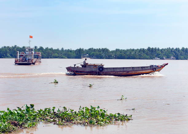 Crossing paths, Mekong River, South Vietnam Barge & Ferry, Mekong River, South Vietnam. Water craft traffic such as barges, houseboats, passenger craft, industrial freighters and small personal boats travel the green rippled waters of the channels and routes of the mighty Mekong River as it flows to the Mekong Delta, South Vietnam small houseboats stock pictures, royalty-free photos & images