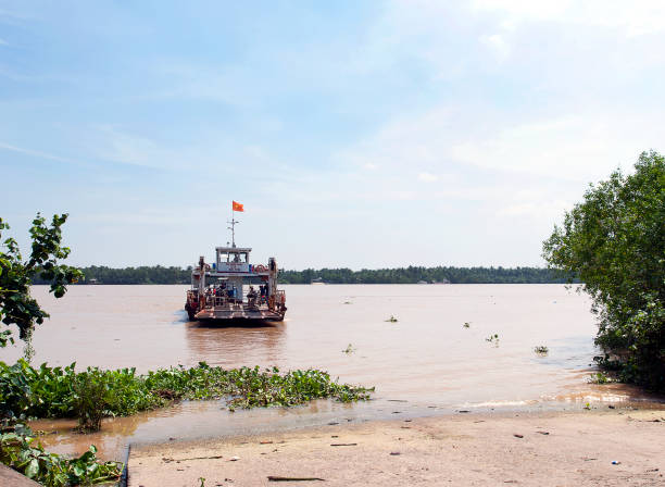 Slowing ferry, Mekong River, South Vietnam Sun Phu Ferry, Mekong Delta, South Vietnam. Water craft traffic such as barges, houseboats, passenger craft, industrial freighters and small personal boats travel the green rippled waters of the channels and routes of the mighty Mekong River as it flows to the Mekong Delta, South Vietnam small houseboats stock pictures, royalty-free photos & images
