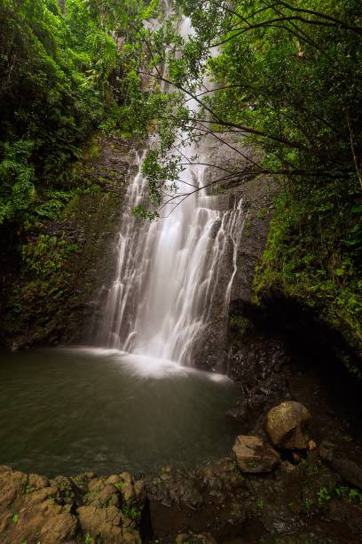 istock Waterfall along the Road to Hana 1193500646