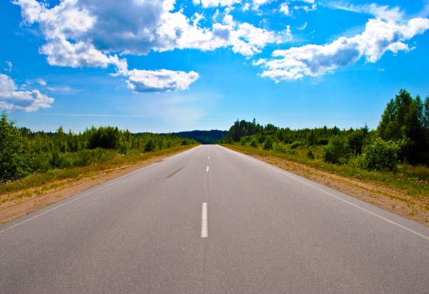 istock Asphalt road along the forest 1193502126