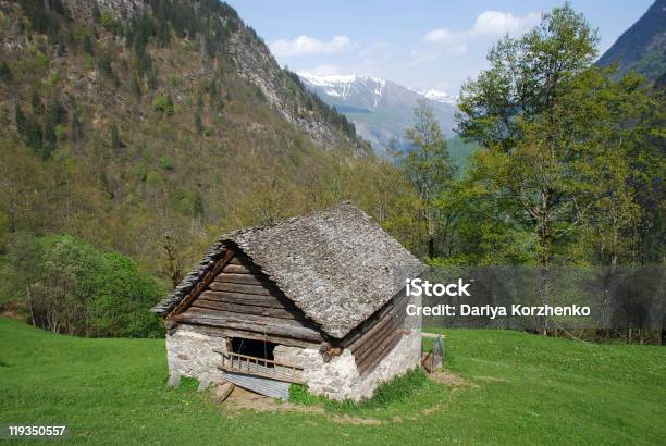 Животное Дом И Боско Gurin Долина Наблюдалось Cerentino — стоковые фотографии и другие картинки Maggia Valley