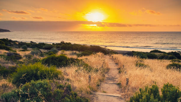 istock Pathway to Hallett Cove Beach 1193511822