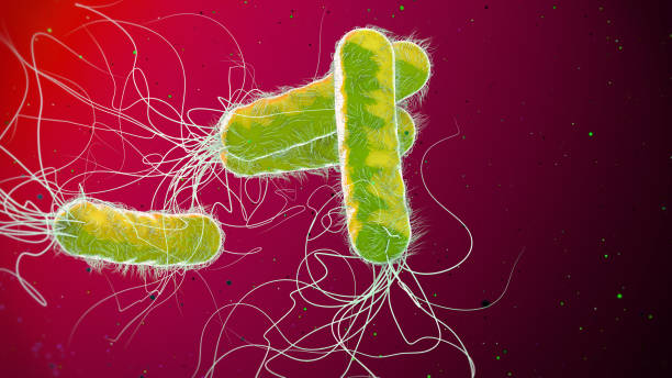 istock Green colored multiple antibiotic resistant Pseudomonas aeruginosa bacterium - 3d illustration 1193514610