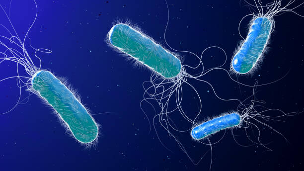 istock Blue colored multiple antibiotic resistant Pseudomonas aeruginosa bacterium - 3d illustration 1193514625