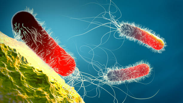 istock Red colored multiple antibiotic resistant Pseudomonas aeruginosa bacterium - 3d illustration 1193514657