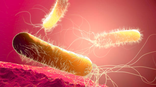 istock Yellow colored multiple antibiotic resistant Pseudomonas aeruginosa bacterium - 3d illustration 1193514702