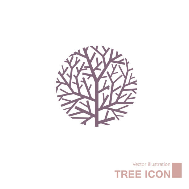 Vector drawn tree. Vector drawn tree. Isolated on white background. round bush stock illustrations