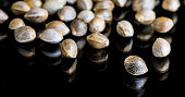 makro-nahaufnahme-fokus-von-cannabis-marihuana-samen-auf-einem-reflektierenden-schwarzen.jpg?b=1&s=170x170&k=20&c=dRBQWBPB0aIq1bCwpUxDrATepluug1po8TBi1JcEaes=