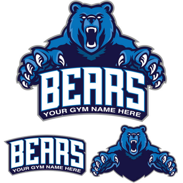 Bear Gym design. Great addition to any gym branding. This aggressive bear jumping over a bears design. polar bear attack stock illustrations