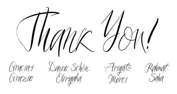 Vector illustration of Set of grateful brush paint hand drawn lettering on white background. Thank you, Gracias, Grazie, Danke Schon, Arigato, Rahmat, Obrigada, Merci, Sahadesign templates for greeting cards, overlays, posters