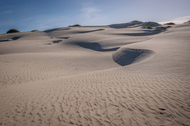 istock Baja California sand dunes 1193529253