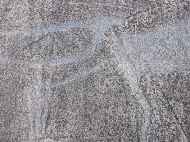 istock Petroglyph Primitive drawings on stones. Ancient art by prehistoric humans. 1193531650