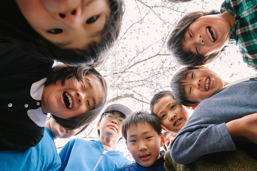 A directly below portrait photo of a cheerful school children under a n full bloom cherry blossom tree in an elementary school building school yard.