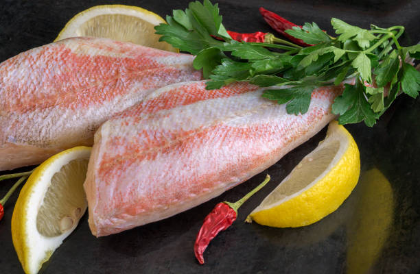 istock red sea bass fish on black background. 1193533734