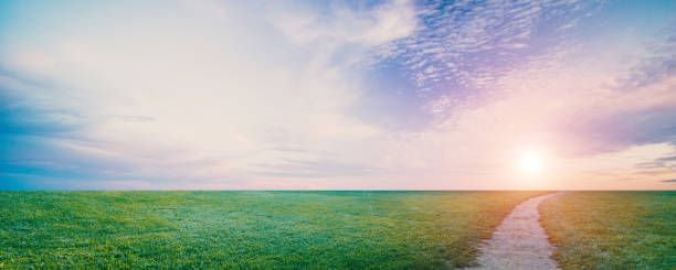 istock Natural field landscape, sky and clouds 1193534547