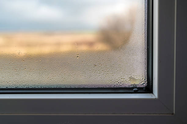 formação do molde através da rasga de janela embaçada devido à ventilação pobre do quarto - orvalho - fotografias e filmes do acervo