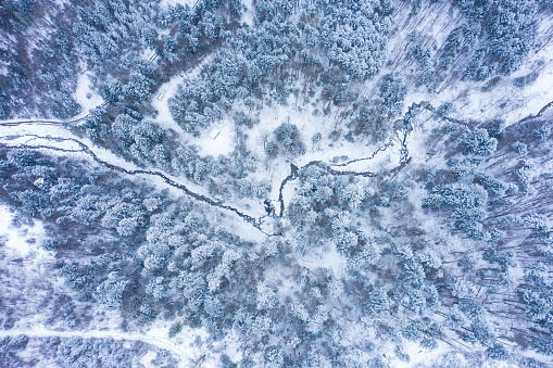 Winter forest with frosty trees and a little meandering stream, aerial view