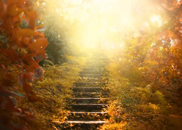 Photo of Autumn background, stairs to the sky. amazing mysterious road steps