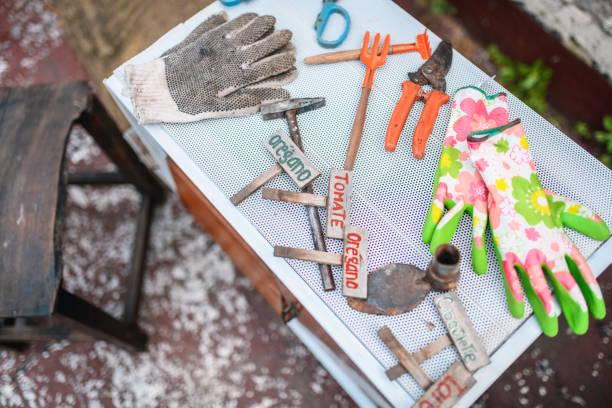 istock Gardening Gloves and Tools 1193542614