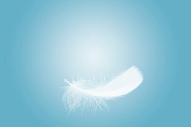istock Soft single white feather floating in the air 1193542648