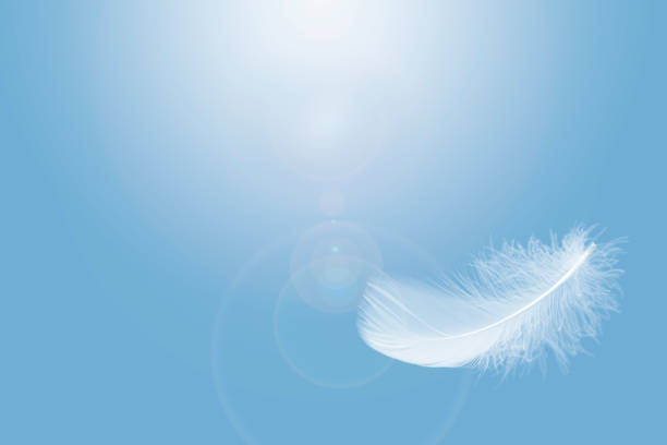 istock Soft single white feather floating in the air 1193543386