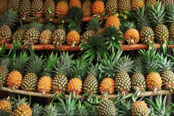 istock Local pineapples are ready for sale 1193543648