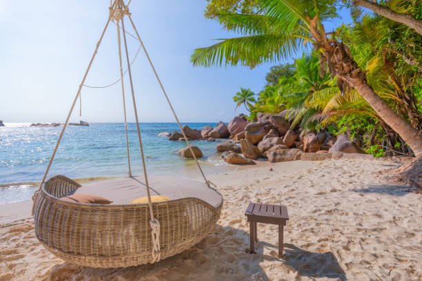 Relax on tropical beach Petite Anse Kerlan with typical granite rock formations and palm trees on Praslin island , Granitic Seychelles , archipelago country in the Indian Ocean