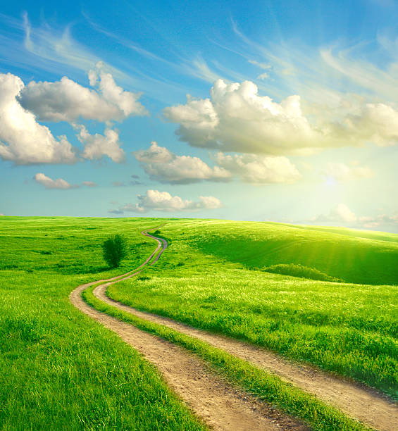 istock Dirt road on grassy hill with cloudy sky 119354571