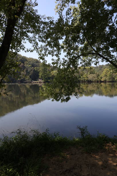 istock French Broad River in Knoxville 1193546641