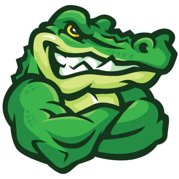 Vector illustration of Gator with his arms crossed