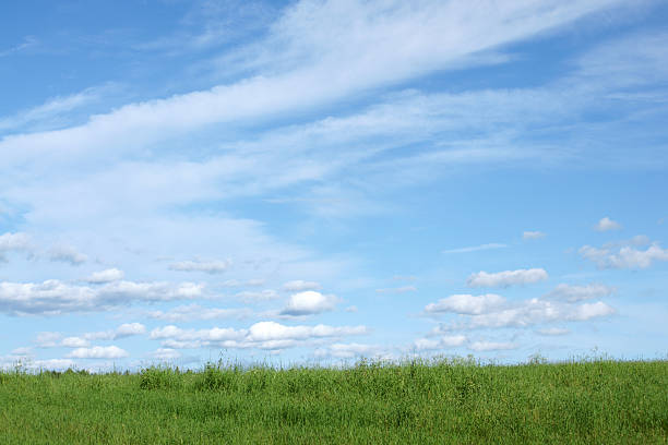 istock Blue sky and green field 119354928