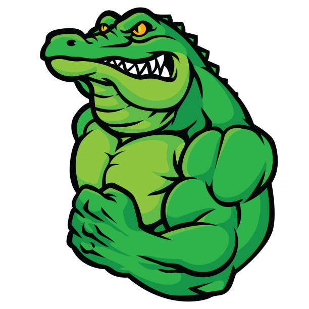 großer muskulöser gator - alligator mascot flexing muscles body building stock-grafiken, -clipart, -cartoons und -symbole