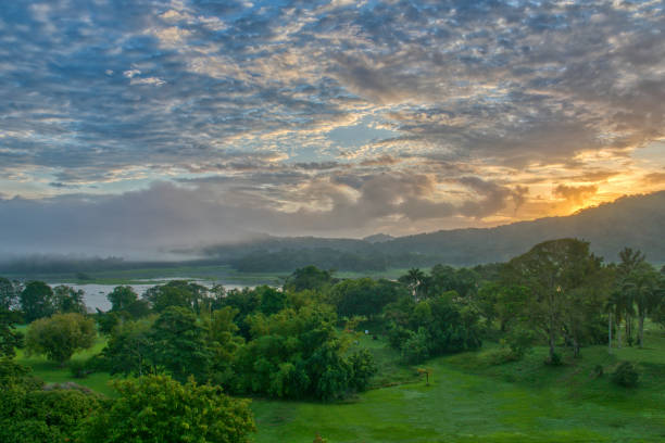 Beautiful Sunrise Over the Chagres River and Panama Canal in Soberania National Park of Gamboa, Panama in Central America Beautiful Sunrise Over the Chagres River in Soberanía National Park of Gamboa, Panama. soberania national park stock pictures, royalty-free photos & images