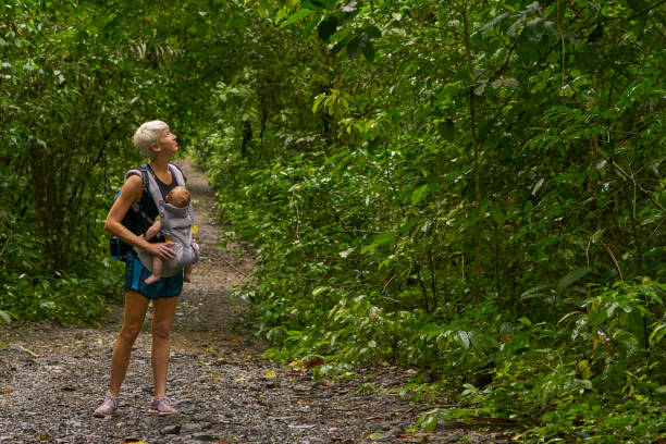 Mother and Daughter Hiking in Soberania National Park of Gamboa, Panama in Central America Mother and daughter hiking in Soberanía National Park of Gamboa, Panama. soberania national park stock pictures, royalty-free photos & images
