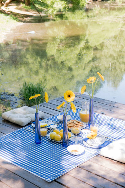 istock Romantic picnic for two. Luxury table setting in blue, gold cutlery, ceramic plates, a checkered tablecloth, waffle dessert, orange juice and fruit, a cup of coffee. Yellow marigold flowers in a vase. 1193556905
