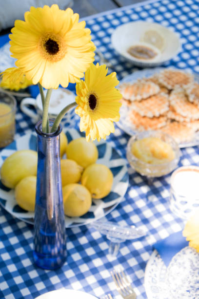 istock Romantic picnic for two. Luxury table setting in blue, gold cutlery, ceramic plates, a checkered tablecloth, waffle dessert, orange juice and fruit, a cup of coffee. Yellow marigold flowers in a vase. 1193556918