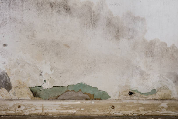 istock Flooding rainwater or floor heating systems, causing damage, peeling paint and mildew. 1193558409