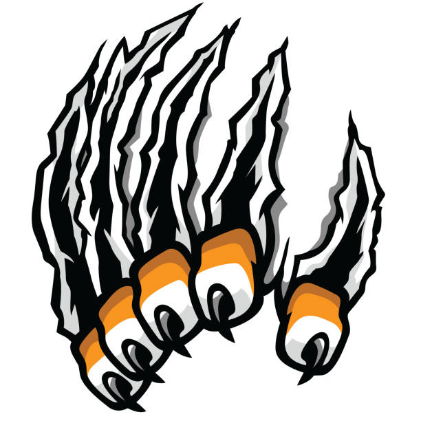 bildbanksillustrationer, clip art samt tecknat material och ikoner med en klo riva genom att attackera - klo