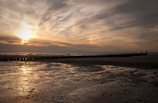 istock Northsea-coast at dusk 119356127