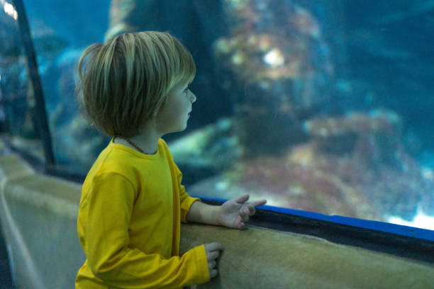 istock Little boy in public aquarium 1193561512