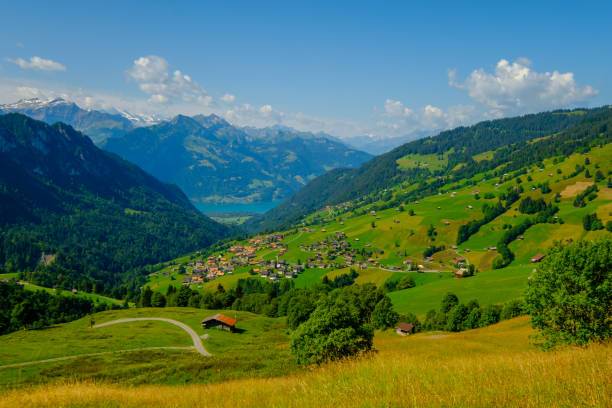 istock Summer time countryside panoramic landscape in Switzerland 1193562740