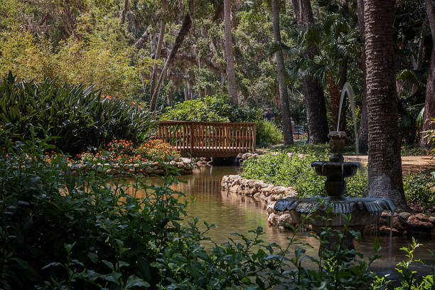 fontana e passerella - fountain landscaped ornamental garden flower bed foto e immagini stock