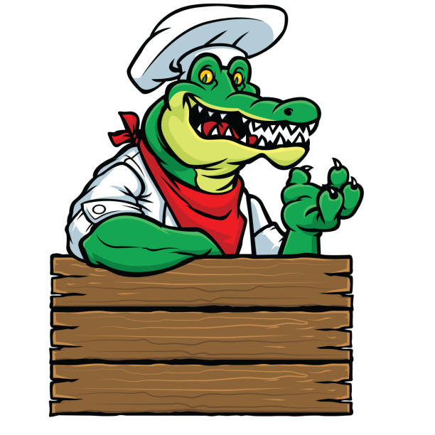 51 Crocodile Or Alligator Chef Illustrations & Clip Art - iStock 51 Crocodile Or Alligator Chef Illustrations & Clip Art - iStock