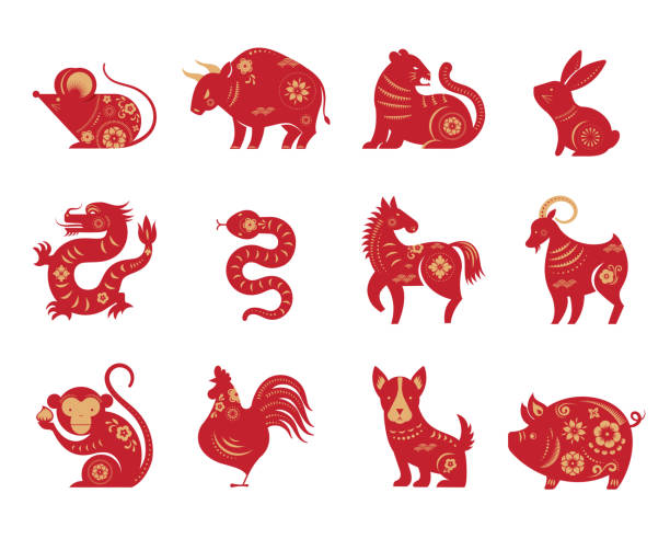 중국 새해, 조디악 표지판, 종이 컷 아이콘과 기호. 벡터 일러스트레이션 - snake chinese new year chinese zodiac sign china stock illustrations