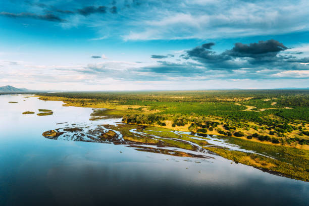 istock Aerial View over the Zambezi River, Zambia 1193572699