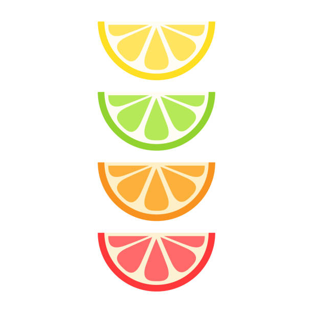 illustrazioni stock, clip art, cartoni animati e icone di tendenza di insieme agrumi - orange slices