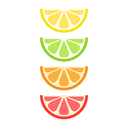 Set of citrus fruit slices; lemon, lime, orange and grapefruit. Vector graphic summer fruit icons.