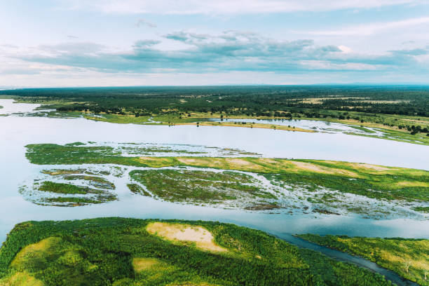 istock Aerial View over the Zambezi River, Zambia 1193573588